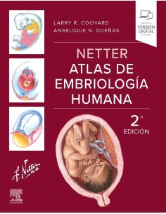 025 NETTER ATLAS DE EMBRIOLOGIA HUMANA 2ª EDICION